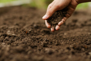 The Power of Activating Your Soil Microbes