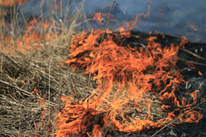 Special Fire Order Issued for Southern Wisconsin