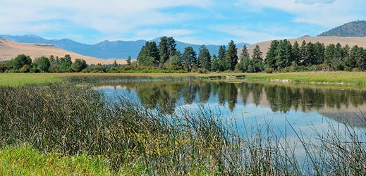 State Ag Can Save Wetlands