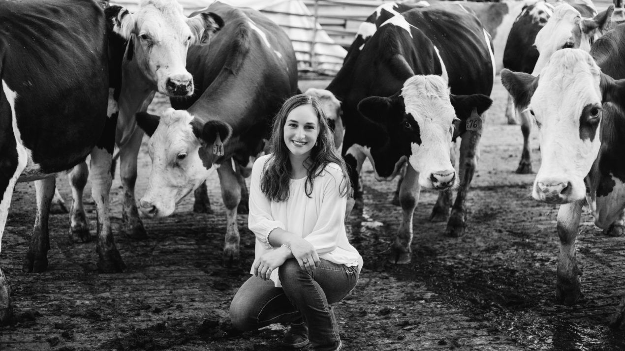 Integrating European Genes into the Herd