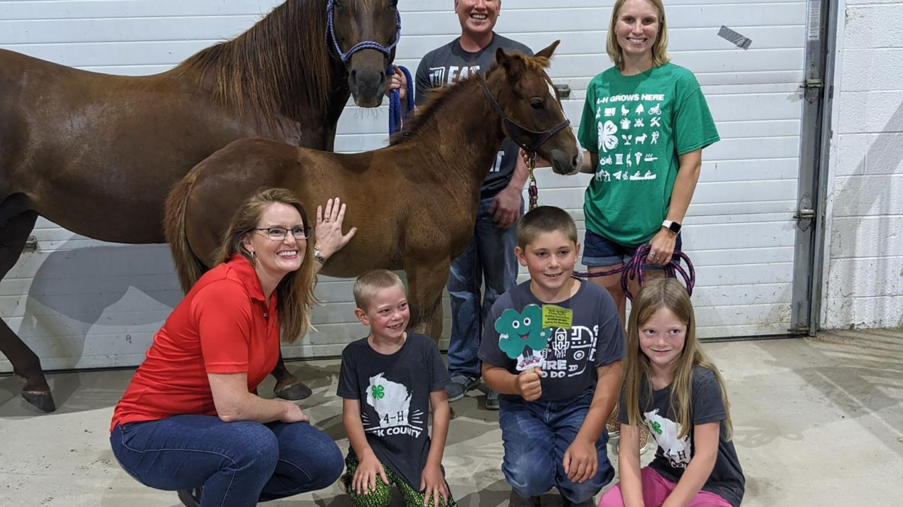 Foaling Around With Wisconsin 4-H