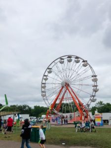 The Wonderful Sites, Sounds and Smells: Northern WI State Fair
