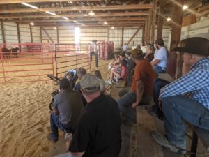 Beef Quality Assurance Certifications Scheduled