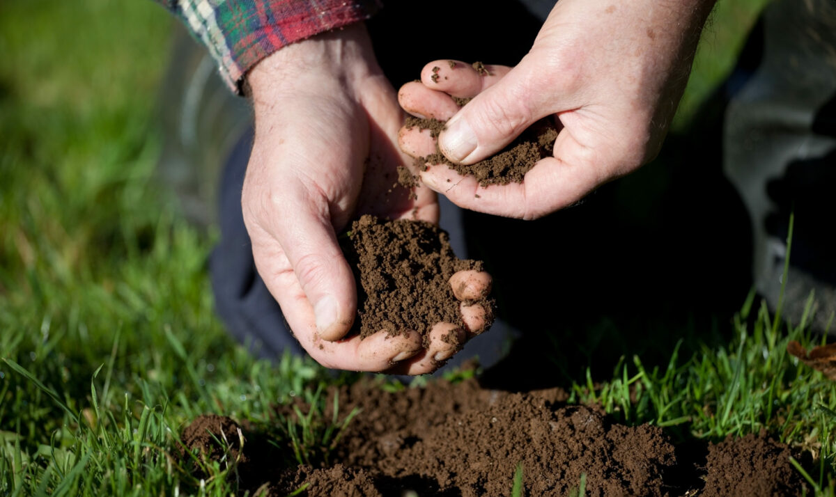 River Falls Hosts Soil Health Workshop