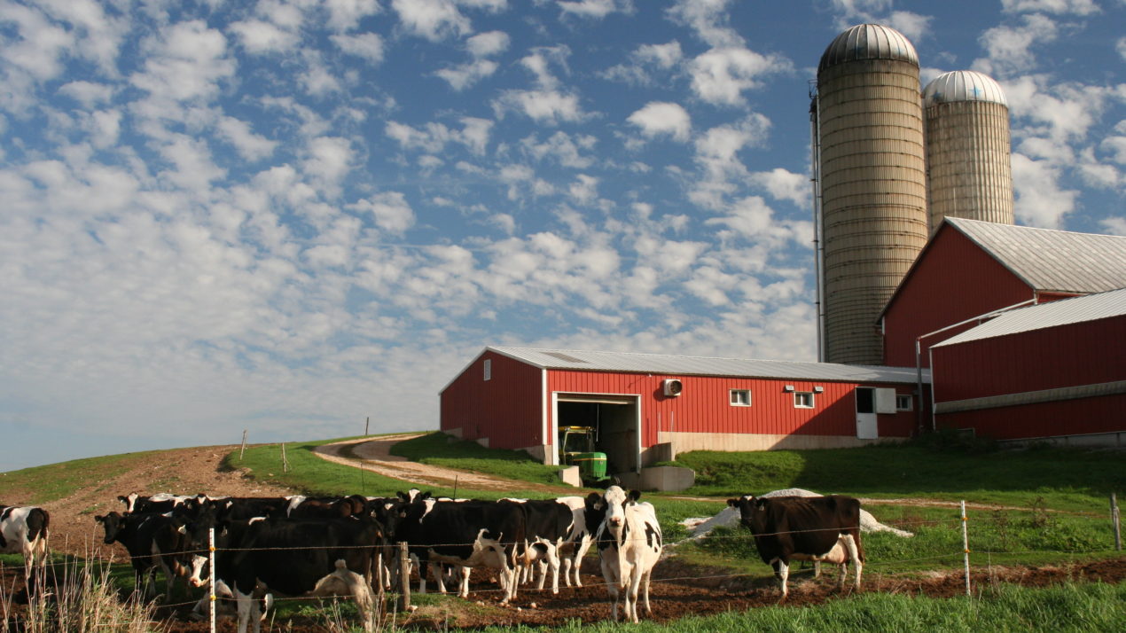 New Legislation Aims to Strengthen U.S. Dairy Industry