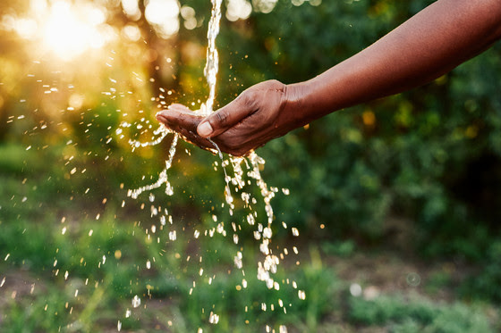 Land & Water Protection Continues
