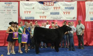 Governor’s Livestock Auction Rebounds Well