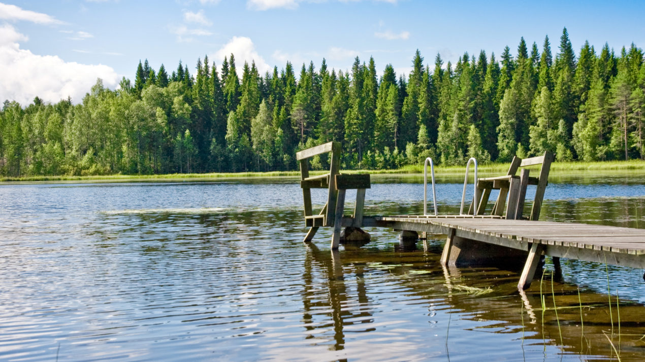 AEA Connects Farmers & Lake Community