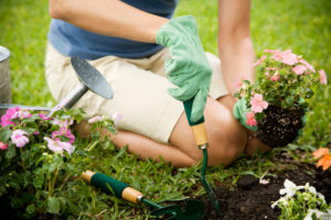 Sheboygan County Looks For Master Gardeners
