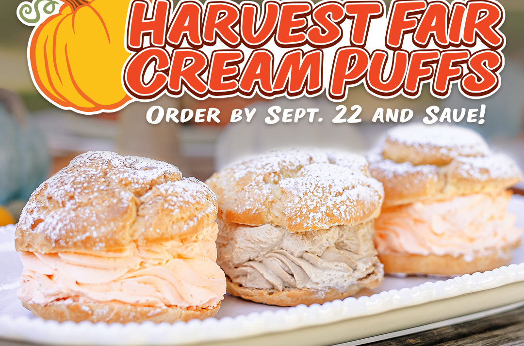 Fall For Cream Puff Flavors