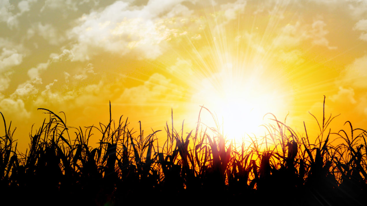 Event Highlights Spirituality In Farming