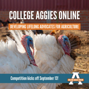 Promote Ag Online & On Campus