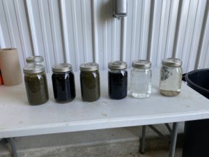 Turning Manure Into Clean Water