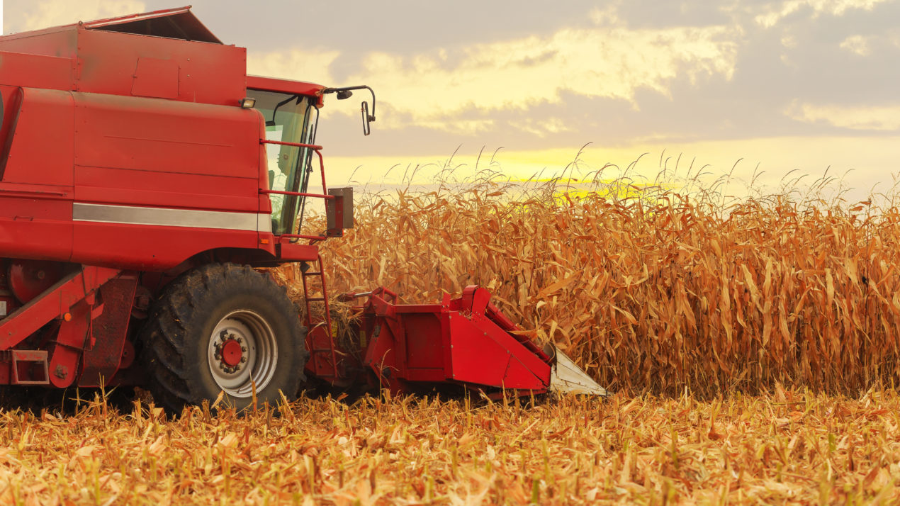 International Corn Demand Lacks Luster