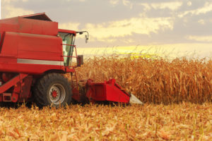 International Corn Demand Lacks Luster