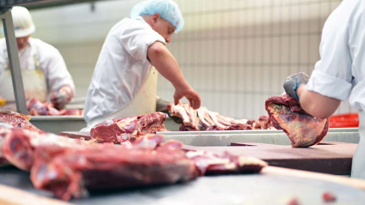 Apply For Meat Processor Grants Now