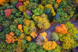 Plan An Outdoor Fall Color Adventure