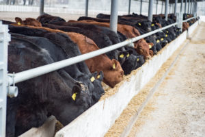 Wisconsin to Host Premier Dairy Event