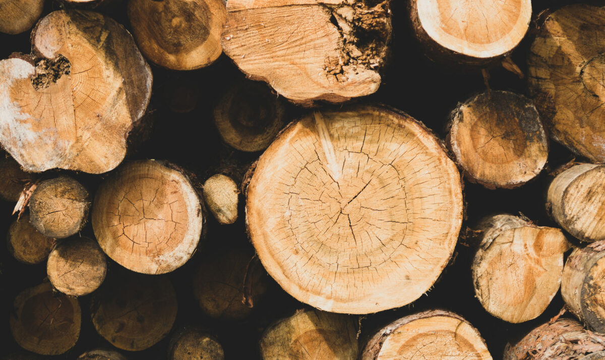 Lumber – Another Quality Product From Wisconsin