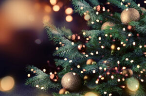 Dispose Of Christmas Trees To Prevent Hazards