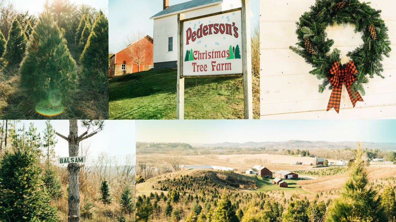 O Christmas Tree – Wisconsin’s Christmas Tree Farms