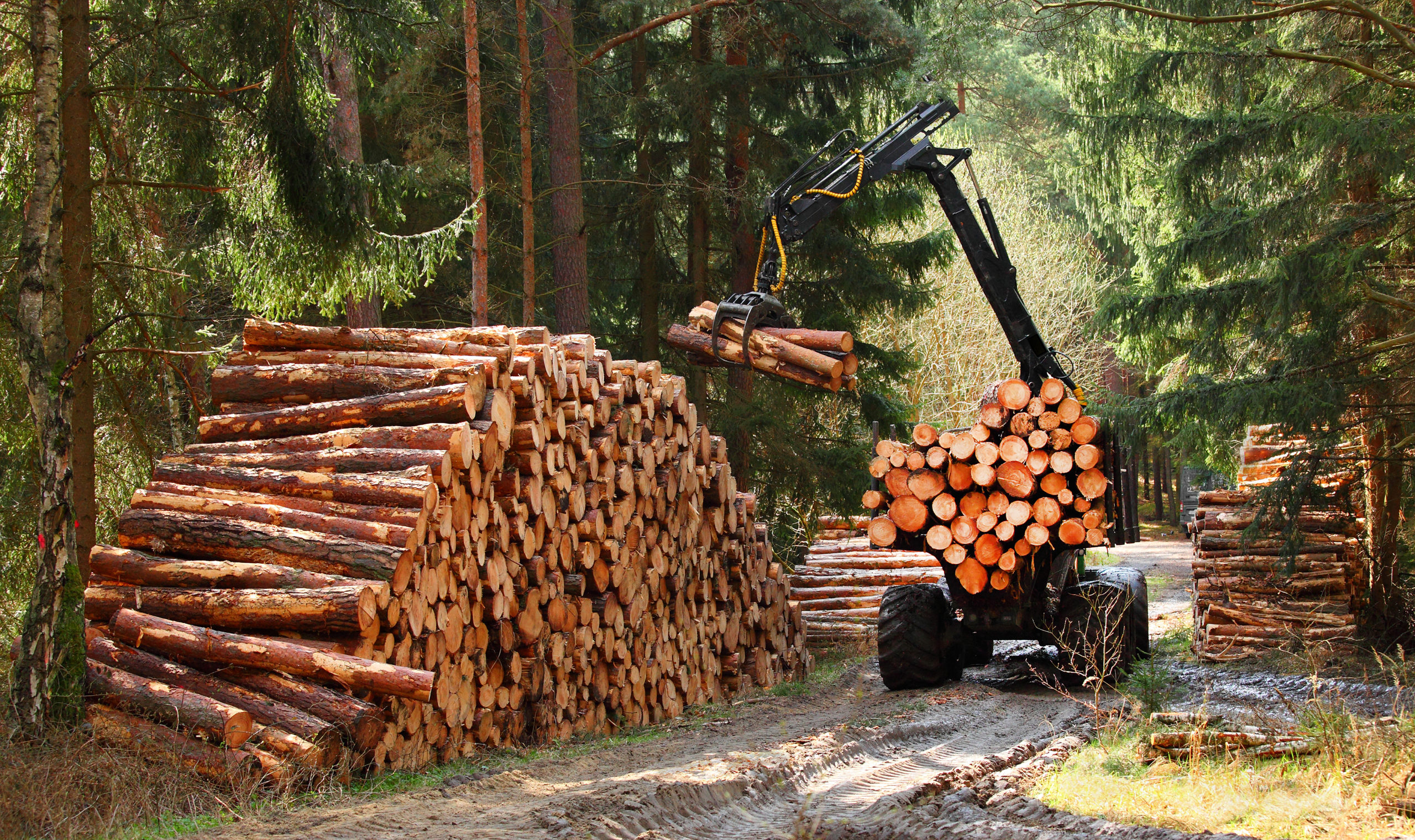 Лесозаготовка деревообработка. Лесопромышленный комплекс. Лесная промышленность. Лесозаготовительная промышленность. Лесная и деревообрабатывающая промышленность.