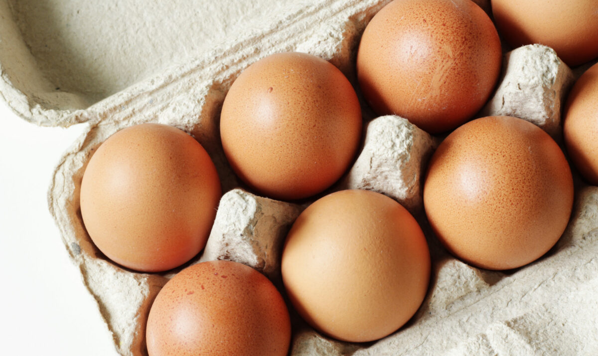 Egg Production Remains Down