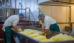 Lift In Cheese Prices May Be Short-Lived