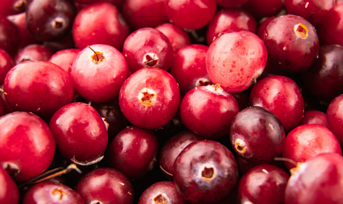 USDA Survey Coming For Cranberry Producers