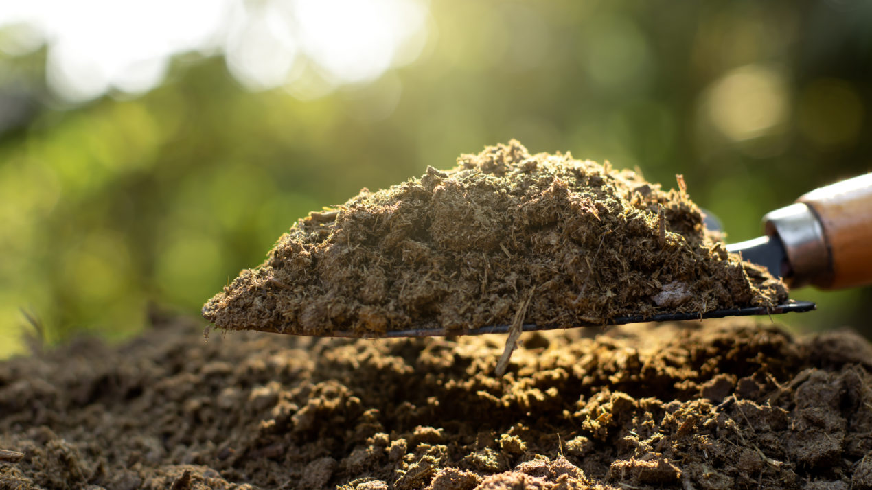 Upcoming Panel: Climate Change & Farming