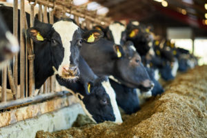 Weather & Water — Key Issues For Utah Dairy