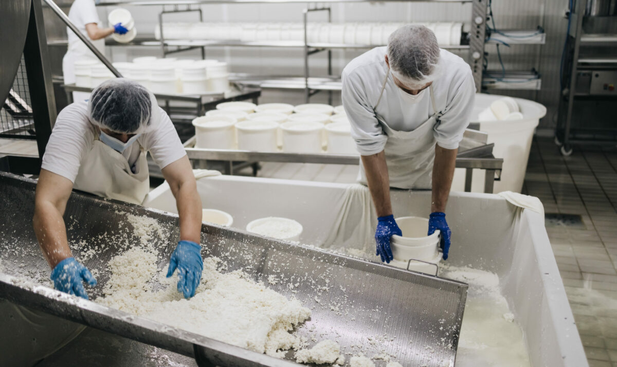 Dairy Processor Grants Open For Application