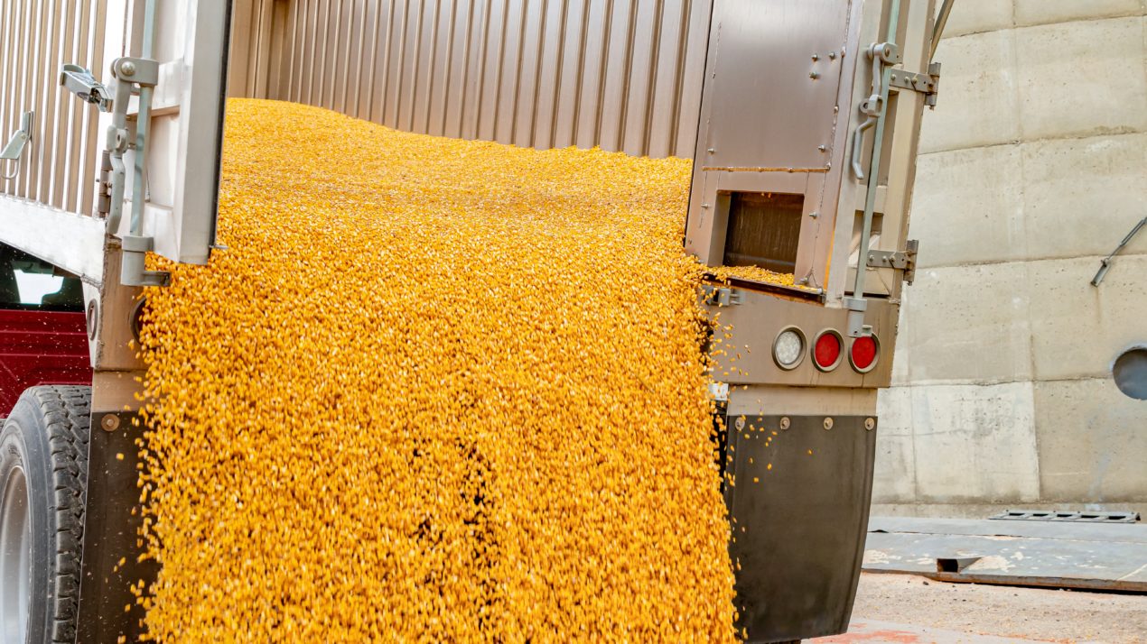Corn Harvest Nearly Three-Quarters Done