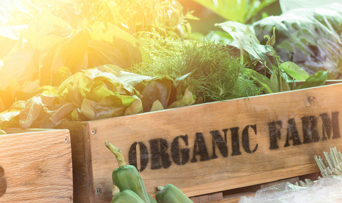 Wisconsin Ranks No. 2 For Organic Farm Numbers