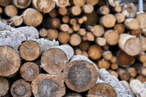 Prevent the Spread of Forest Pests – Don’t Move Firewood