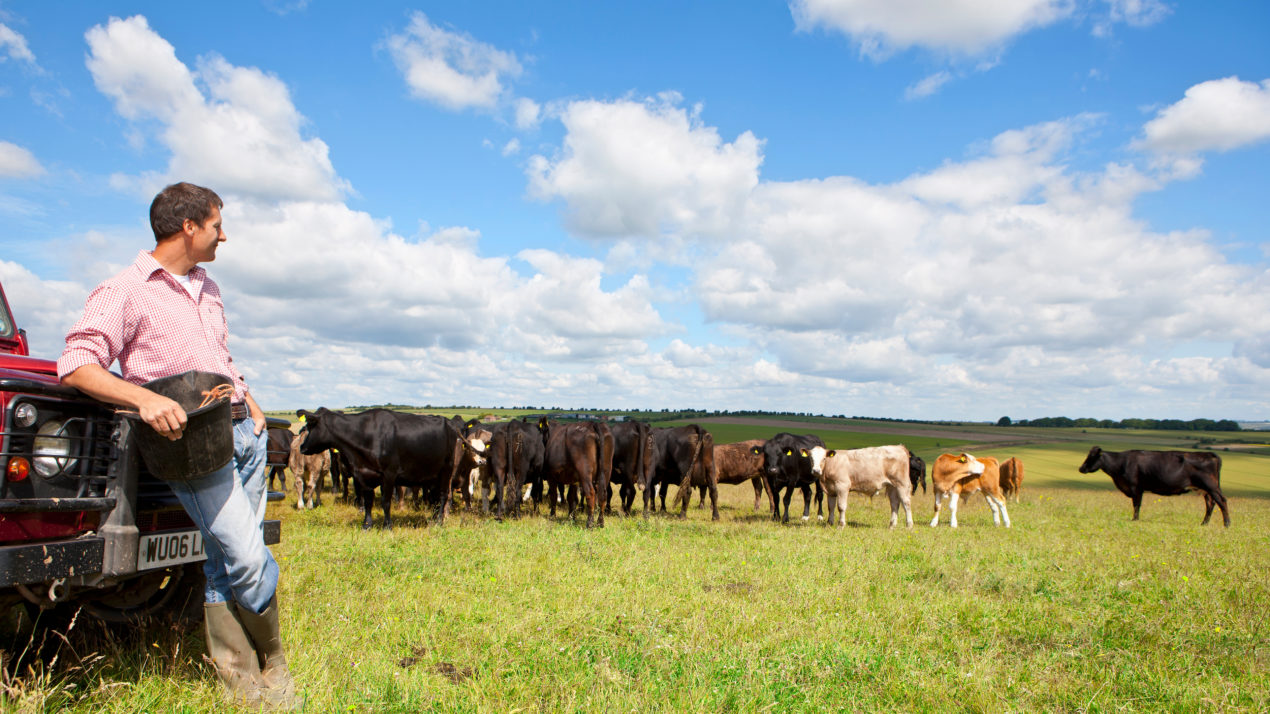 Wisconsin Beef Council Searches For Grassroots Advocates
