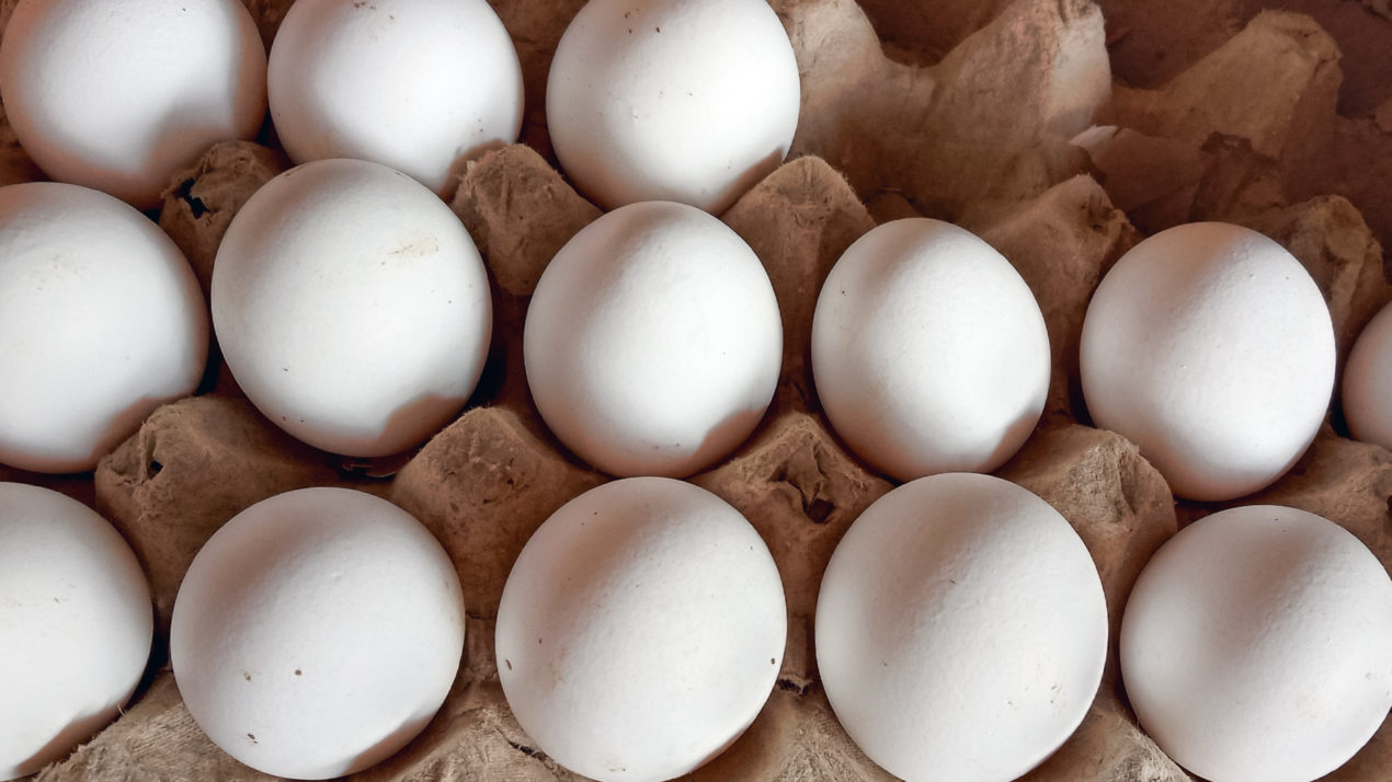Egg Production Remains Down From ’21