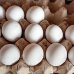 Wisconsin Egg Production Slowly Rising