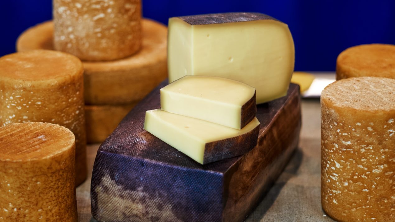 Cheese Championship Brings Judges Across Globe