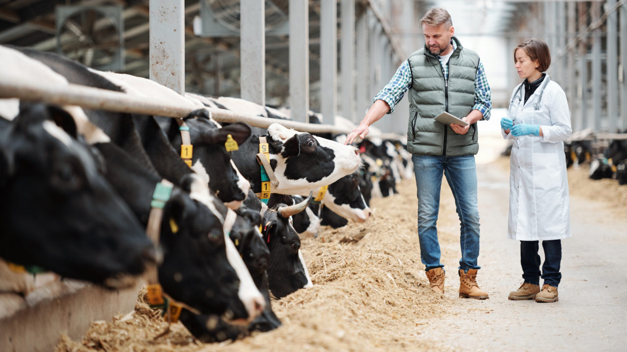 WCMA Applauds USDA Investment In Dairy Business Innovation Initiatives