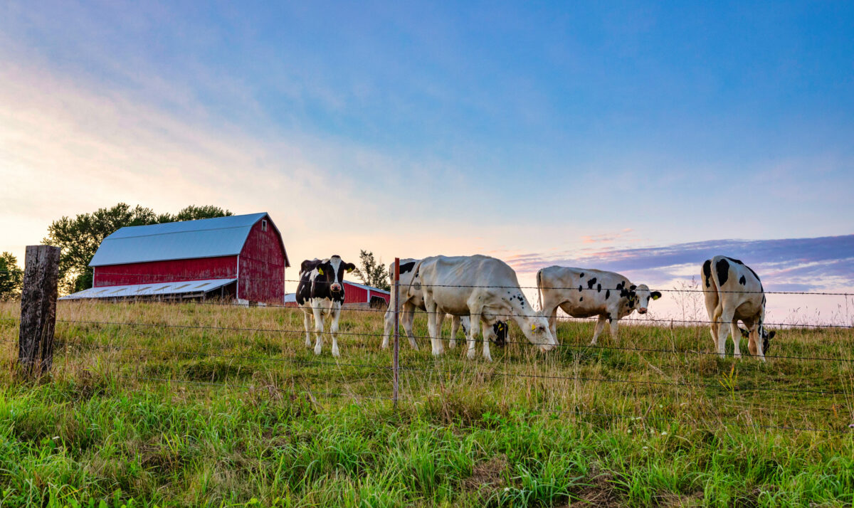National Ag Day: Celebrate WI Agriculture