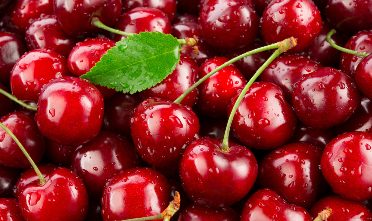 Nomination Period Open for Wisconsin Cherry Board