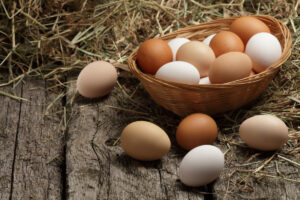 Egg Production Up 4 Percent