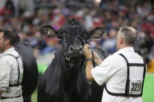 Wisconsin Herds Dominate Award