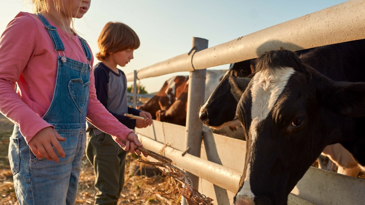 Farm Kid Paradox: Bridging the Gap