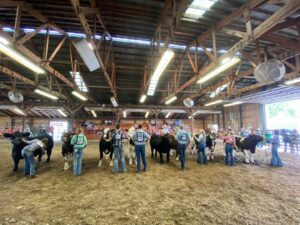Dodge County Fair – Perfect Summer Finale