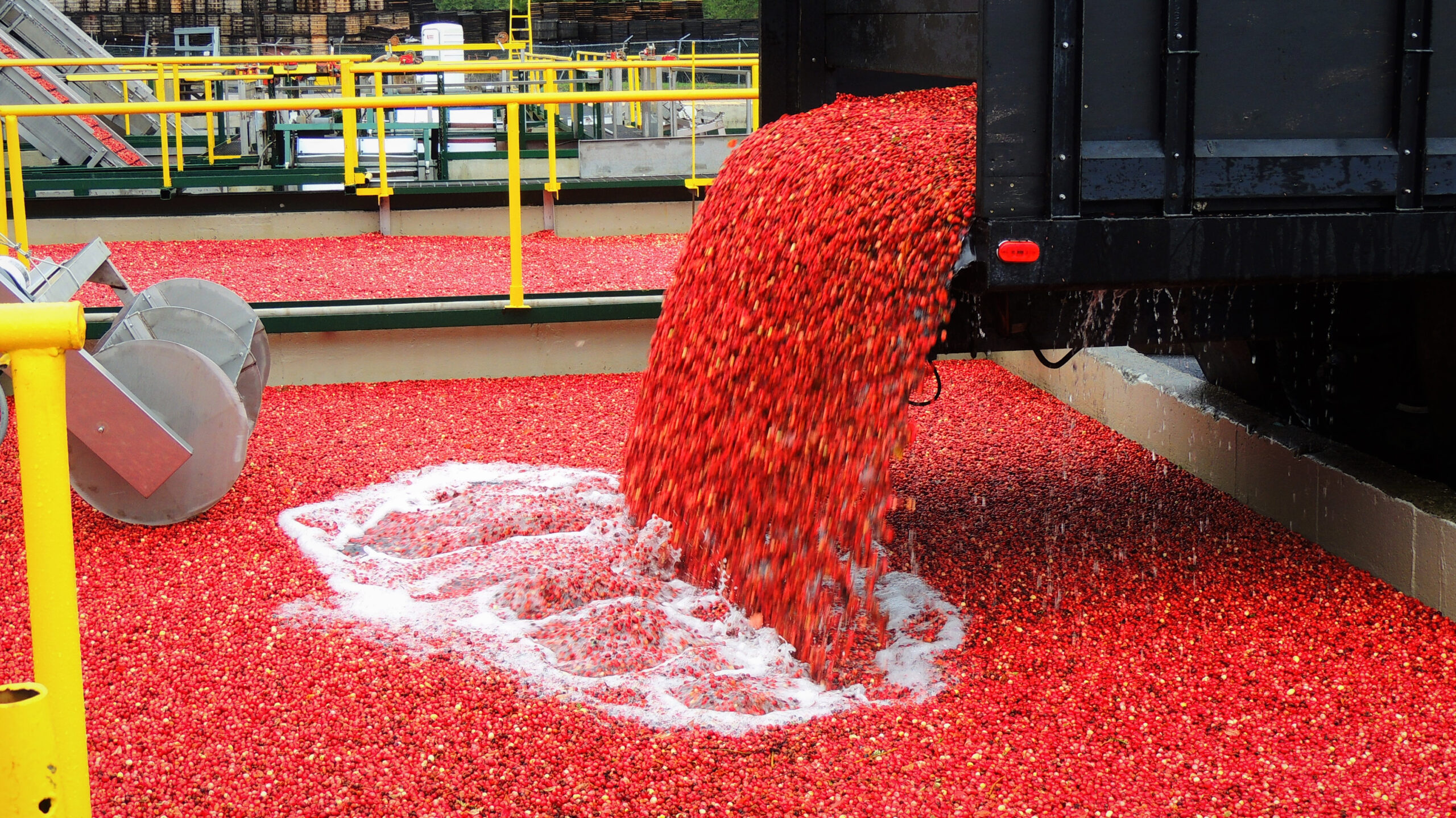 Cranberry Harvest Outlook MidWest Farm Report