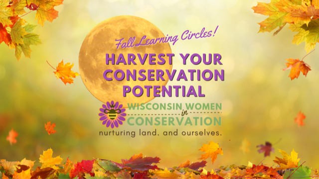 Harvest Your Conservation Potential