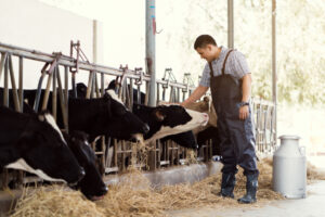 Dairy Herdsperson Workshops Available