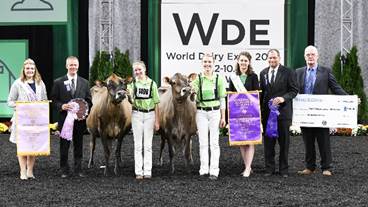 Wisconsin Exhibitors Rise To The Top